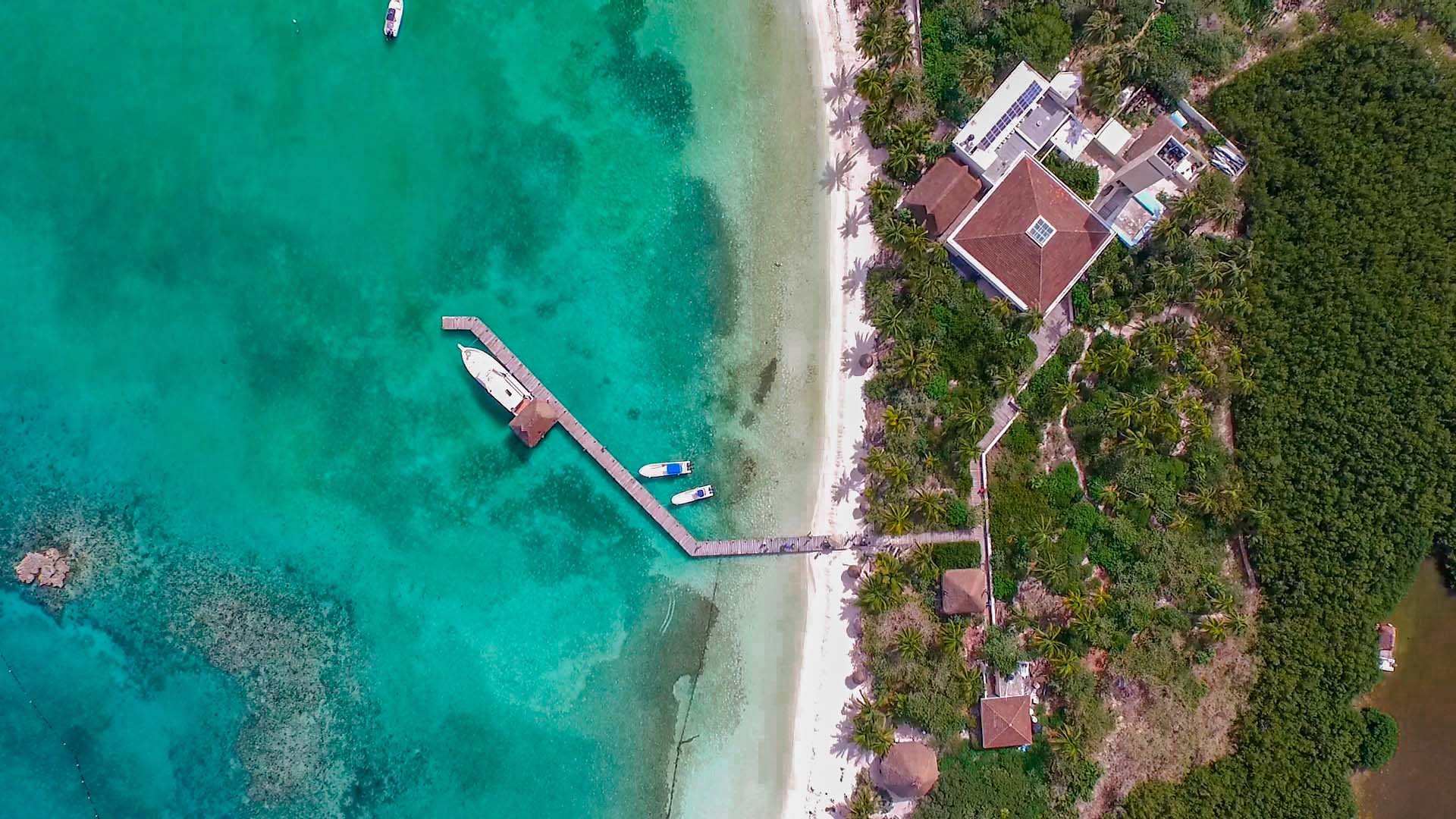 Tour a Isla Contoy e Isla Mujeres — 2