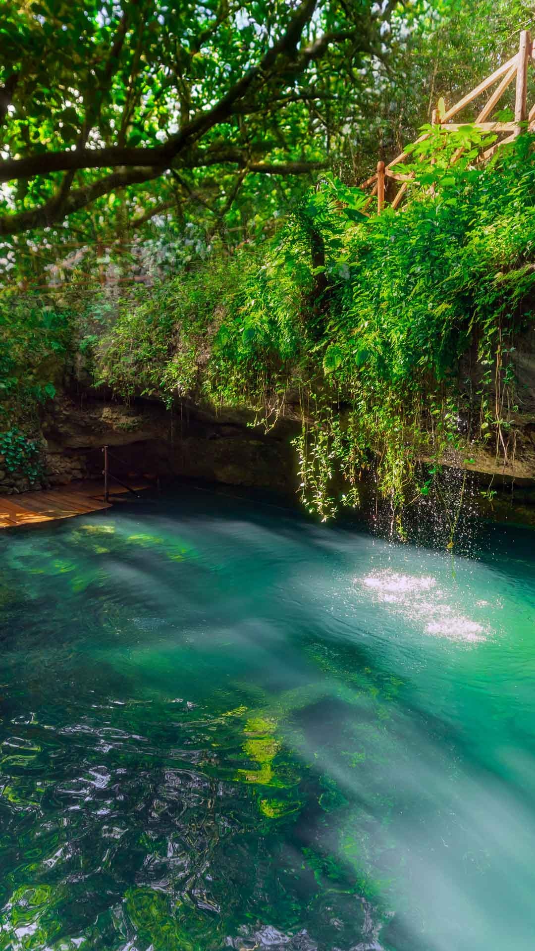 Cenotes Adventuring — 2