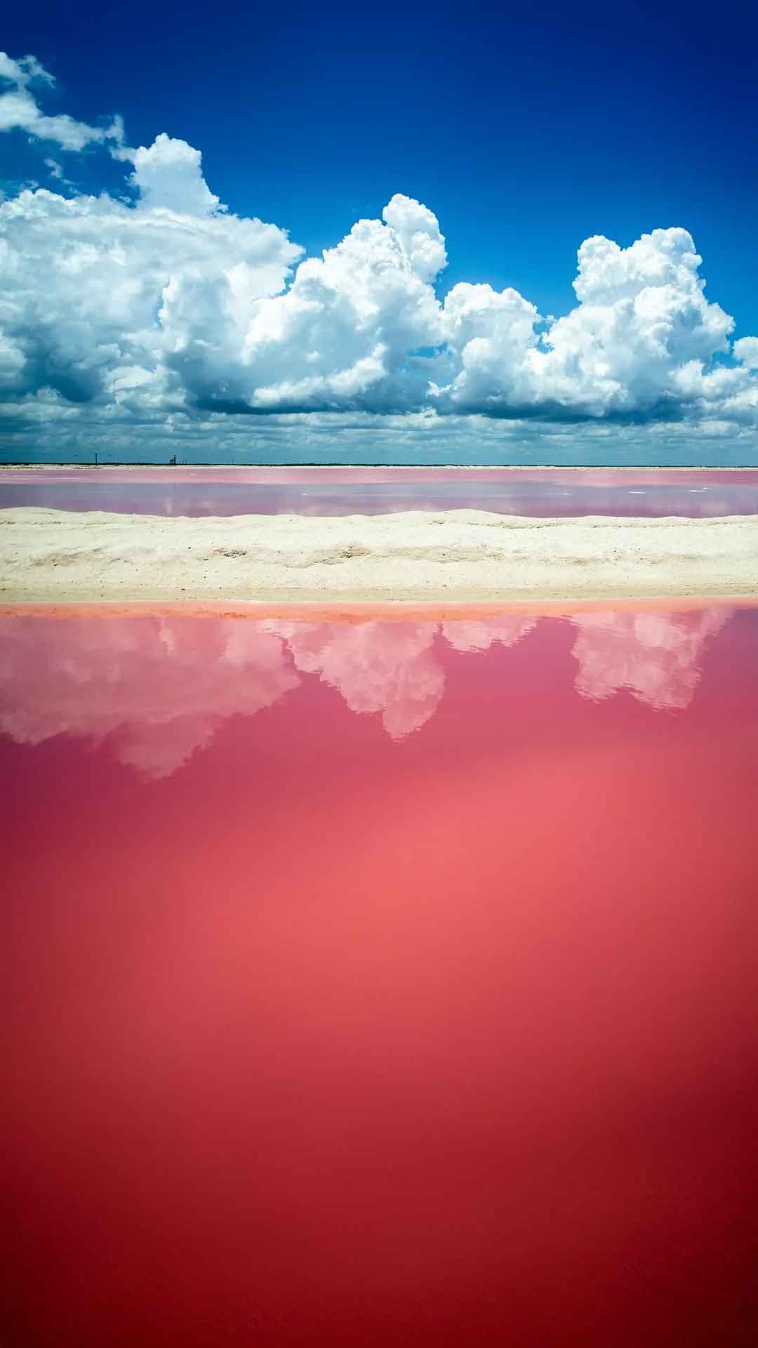 La ruta del Flamingo Tour — 4